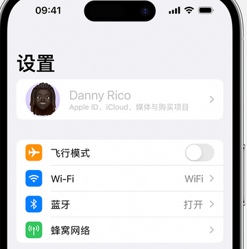 本号镇appleID维修服务iPhone设置中Apple ID显示为灰色无法使用 