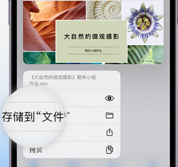 本号镇apple维修中心分享iPhone文件应用中存储和找到下载文件