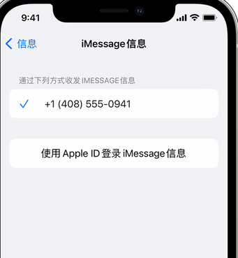 本号镇apple维修iPhone上无法正常发送iMessage信息 