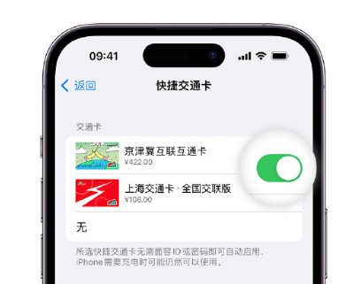 本号镇apple维修点分享iPhone上更换Apple Pay快捷交通卡手绘卡面 