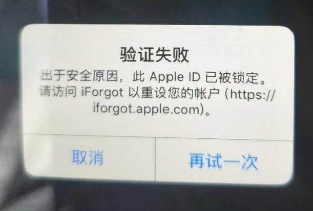 本号镇iPhone维修分享iPhone上正常登录或使用AppleID怎么办 