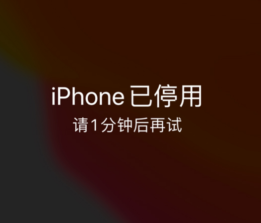 本号镇苹果手机维修分享:iPhone 显示“不可用”或“已停用”怎么办？还能保留数据吗？ 