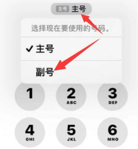 本号镇苹果14维修店分享iPhone 14 Pro Max使用副卡打电话的方法 