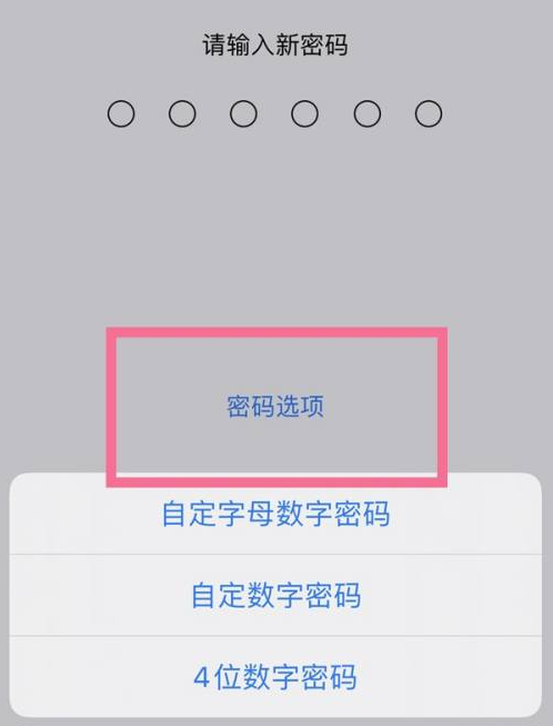 本号镇苹果14维修分享iPhone 14plus设置密码的方法 