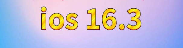 本号镇苹果服务网点分享苹果iOS16.3升级反馈汇总 