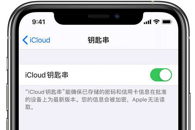 本号镇苹果手机维修分享在 iPhone 上开启 iCloud 钥匙串之后会储存哪些信息 