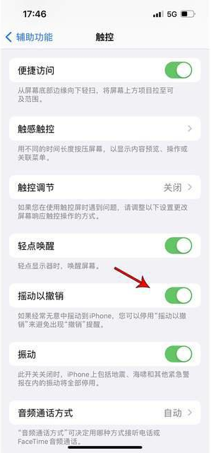 本号镇苹果手机维修分享iPhone手机如何设置摇一摇删除文字 